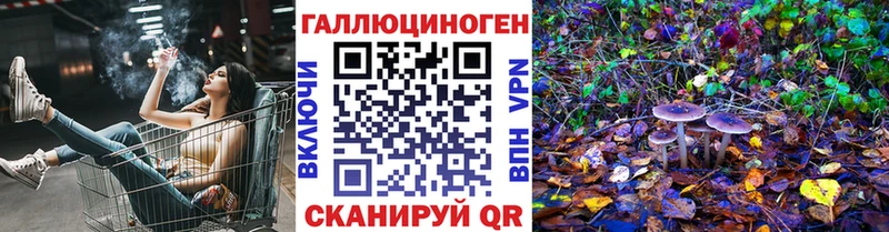Галлюциногенные грибы Cubensis  Купить где  Горбатов 